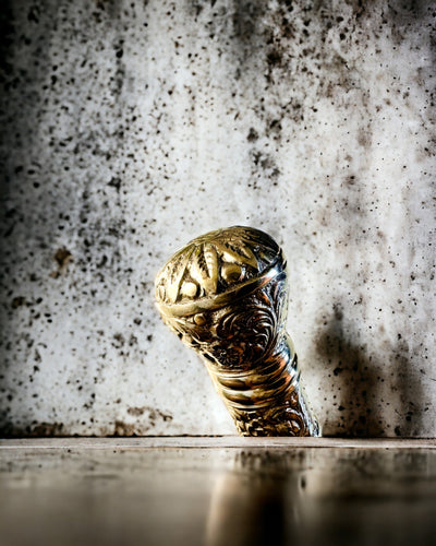 Prémiová lžíce na boty "Elegance Rajput" s možností gravírování