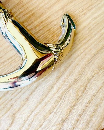 Ručně vyřezávaná cestovní hůl, na procházky "Královský Poutník" v hnědé barvě se zlatými ozdobami